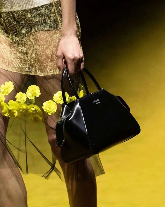 Celine Soft 16 bag_女明星用的包包_Prada Supernova