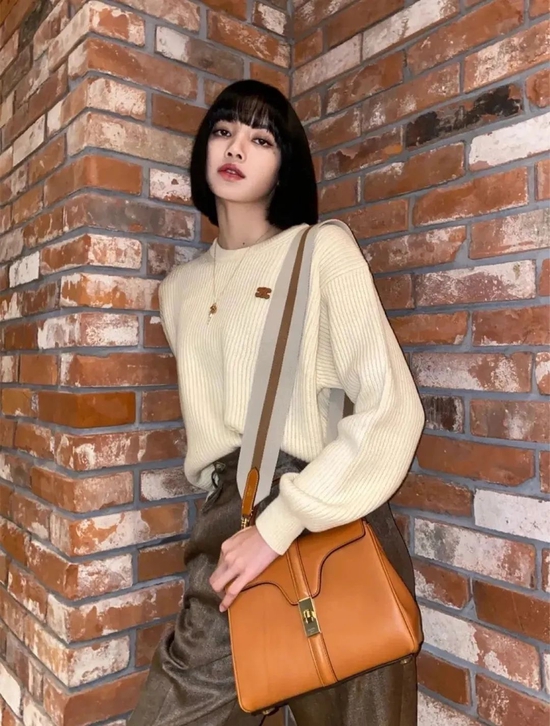 Prada Supernova_女明星用的包包_Celine Soft 16 bag