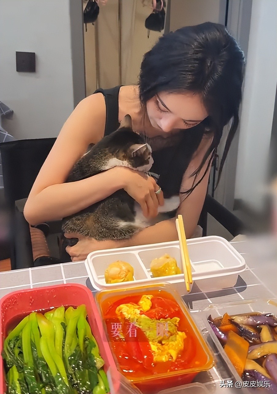 娱乐圈谁学历最低_赵露思白鹿杨幂刘诗诗真实学历曝光_表面女神私下文盲 娱乐圈学历争议