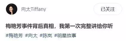梅艳芳向太黑社会事件_向太梅艳芳恩怨_香港黑社会  娱乐圈