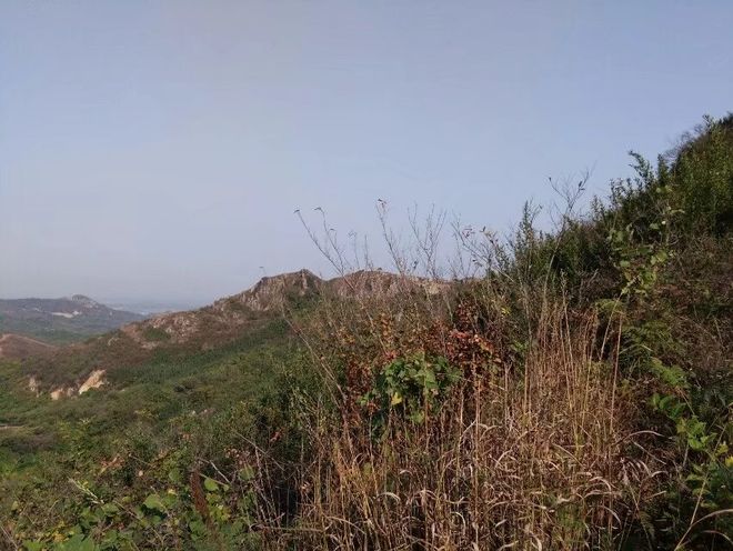女上司出差表白故事_和憧憬女上司一起出差的日子_女上司一见钟情经历