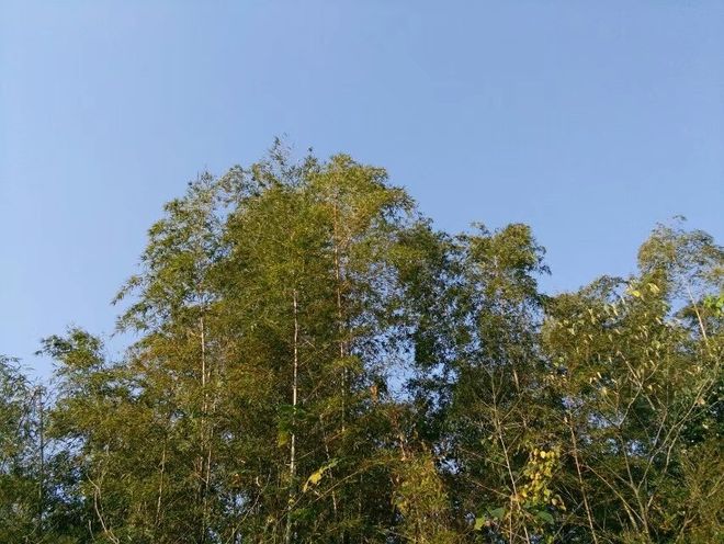 女上司出差表白故事_和憧憬女上司一起出差的日子_女上司一见钟情经历
