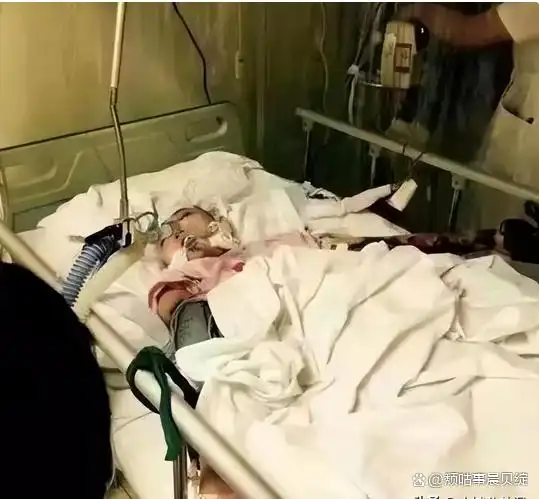 梅艳芳刘丹刘玉璞等24位命运坎坷的女明星_娱乐圈女明星英年早逝名单_女明星死了几个