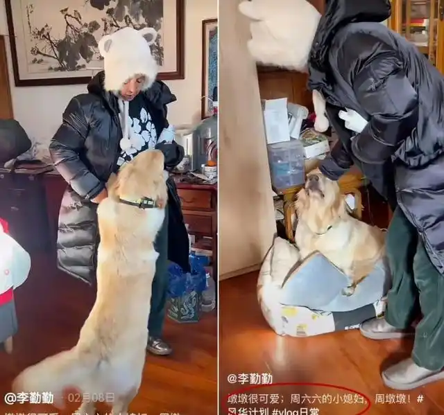 年轻女星癌症去世_女明星死了几个_朱媛媛离世消息