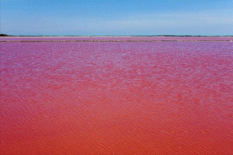 红海在线观看_红海的地理位置和特点_红海为什么叫红海