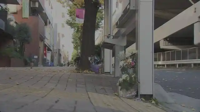 惠子凝视电影评价_日本电影摇晃的公交车_在公交车站直到黎明