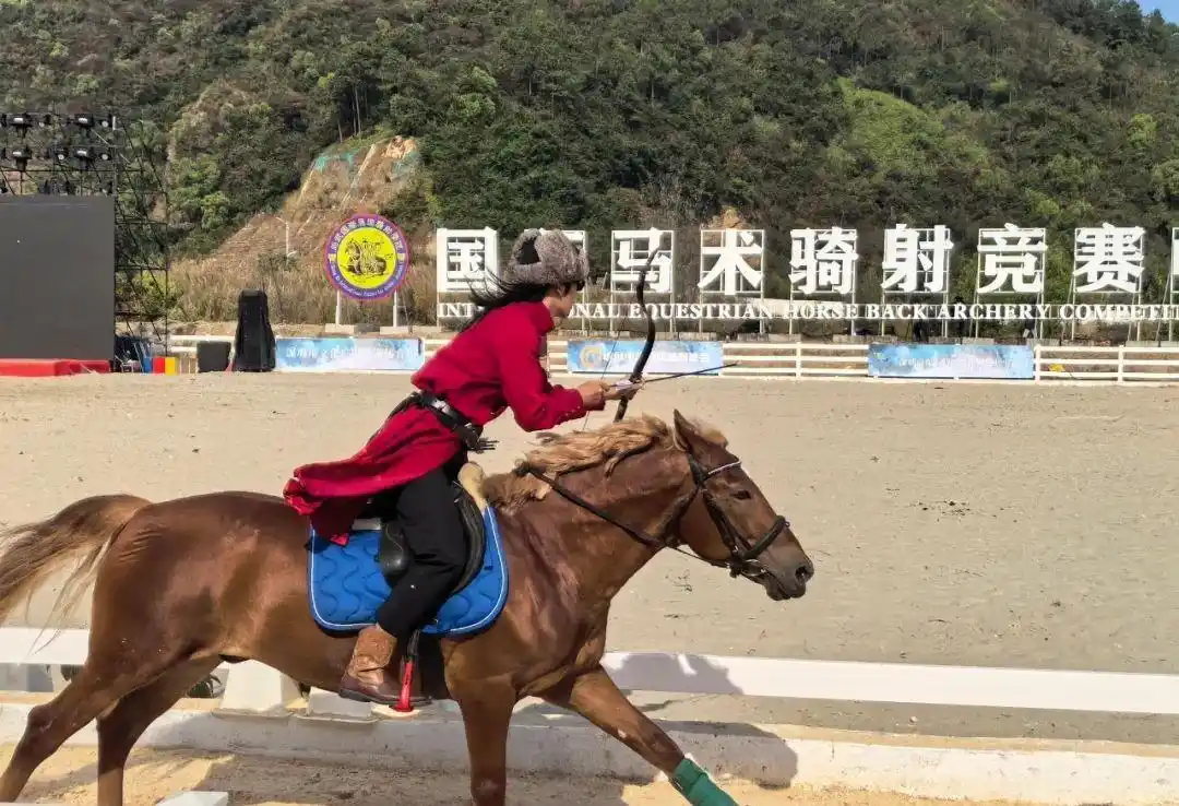 中年女性追星现象_社会偏见_大龄女明星追星