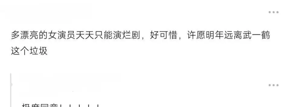 马藜为什么拍烂片_35岁女明星_马藜个人生活经历