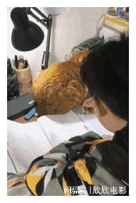 娱乐圈门事件照片_陈冠希杨颖早年合照 艳照门事件影响 杨颖陈冠希关系