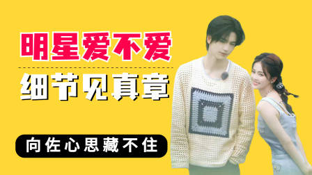 明星爱不爱细节见真章,张凌赫满眼都是白鹿,向佐心思根本藏不住